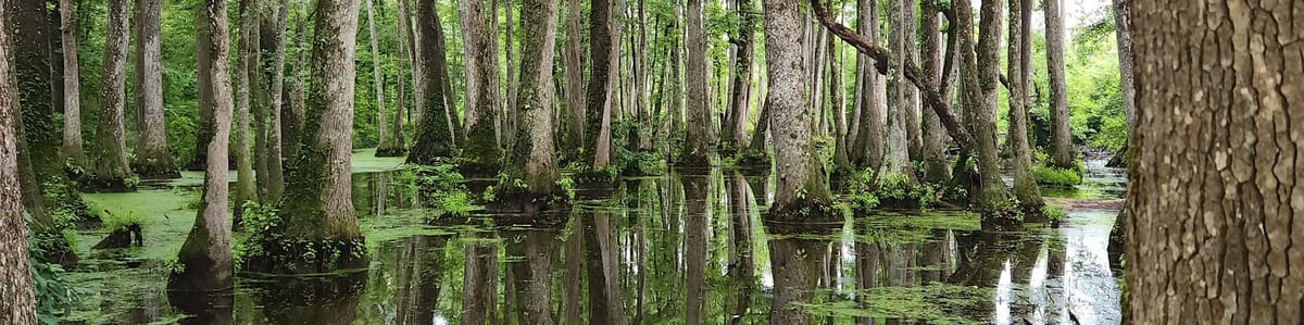 Between Knowing and Becoming