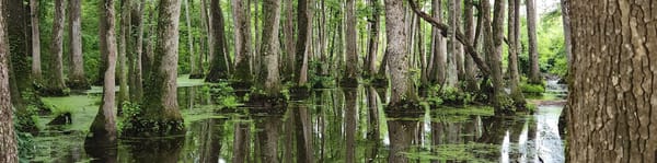 Between Knowing and Becoming